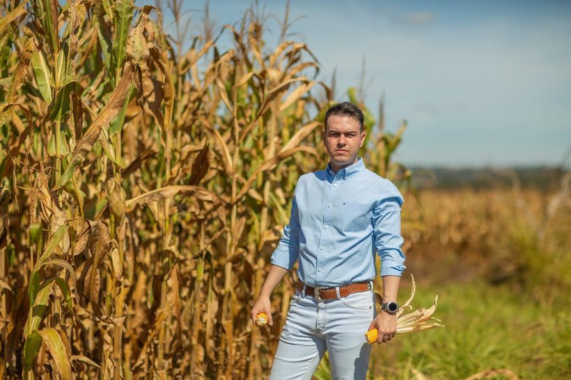 Lavoura de milho avaliada em campo pela Agro RB